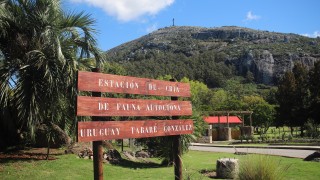 Una mujer murió en la ECFA, la estación se cerró y Abella ordenó investigación