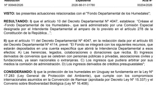 Resolución IDM 00848/2026: "FONDO DEPARTAMENTAL DE LOS HUMEDALES"