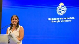 Cercanía con alcaldes de Pan de Azúcar y Piriápolis molestaron a la ministra de Industria, sostuvo jerarca frenteamplista que renunció a esa secretaria de Estado