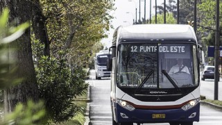 Transporte público, ejes metropolitanos y tecnología: el plan del Partido Nacional para reordenar la movilidad en Maldonado