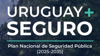 Plan de seguridad: respaldo oficialista y críticas de la oposición entre legisladores de Maldonado
