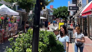 Temporada con fisuras: el 51% de las empresas no tuvo un balance positivo