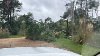 Temporal en Maldonado: más de 33 mil clientes sin luz, caída de árboles y daños en la costa