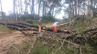 Temporal: el informe oficial prioriza la anticipación y la respuesta del sistema