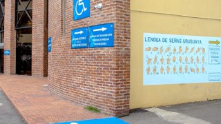 Discapacidad: la IDM pone en marcha la tarjeta obligatoria para acceder a beneficios y entradas gratuitas