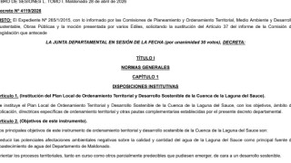 Decreto 4119/2026