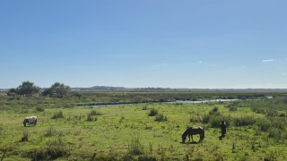 Fin a un litigio de nueve años: ANEP desistió de reclamar tierras dentro del Ecoparque