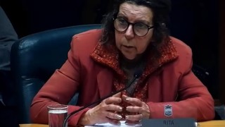 Controversia animalista y política: edil Rita Colombo pidió al TCA anular la sanción del INBA y presentó inspecciones oficiales que no constataron maltrato animal