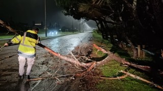 Más de 18.500 clientes sin luz, árboles caídos y una familia evacuada: el saldo del ciclón extratropical en Maldonado