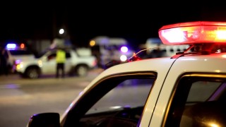Octogenario murió tras chocar su camioneta contra un vacuno en ruta 39