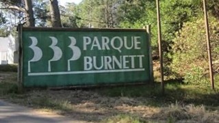 Dos jóvenes fallecieron tras caerles encima un árbol talado mientras dormían en el Parque Burnett