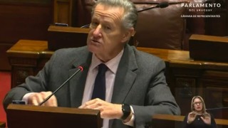 “Racismo militante”: Gurméndez llevó a Diputados lo ocurrido en la Asamblea de la INDDHH en el CURE Maldonado