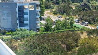 Joven trabajador de parques y jardines falleció tras caer cuando hacía mantenimiento de jardín
