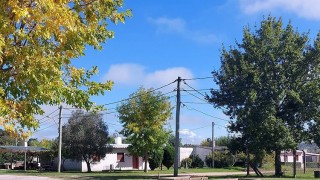 Cortes de telefonía e internet en Los Talas: Casaretto pidió explicaciones a Antel y datos sobre la cobertura de la zona
