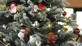 Municipio Maldonado, concurso vidrieras navideñas