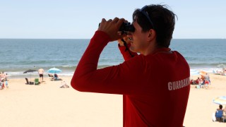 IDM, guardavidas, playas, verano, temporada, rescates, asistencias, Carlos Curbelo, RCP
