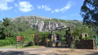 Cerro Pan de Azucar, ECFA, estacion de cria, Piriapolis