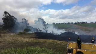 Investigan incendio en campo y plantación de soja tras robo de leña