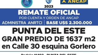 Olvido: por error administrativo, suspendieron remate de predio de ANCAP en Punta del Este