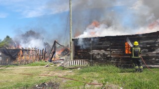 incendio, San Carlos, intencional